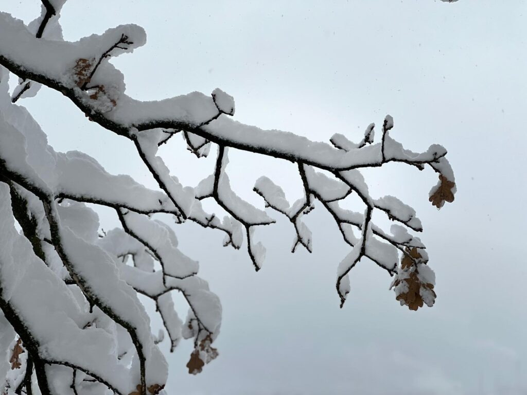 Mit Basofagie in Stille genüsslich entschlacken und den Advent genießen