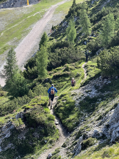 Basofagie Alice Stockreiter Berge
