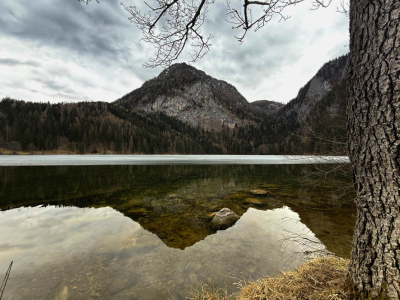 Basofagie Alice Stockreiter See