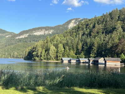 Basofagie - Dr. Alice Stockreiter