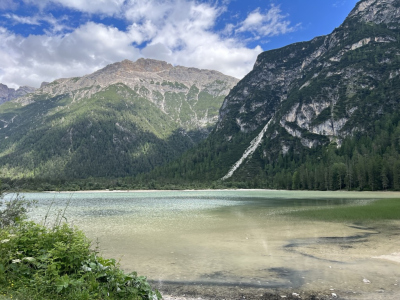 Basofagie - Dr. Alice Stockreiter