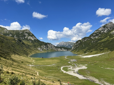 Basofagie - Dr. Alice Stockreiter