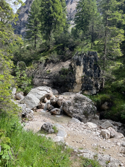 Basofagie - Dr. Alice Stockreiter